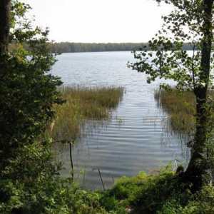 Lac adânc (raionul Ruzsky, regiunea Moscova): descriere, pescuit și odihnă
