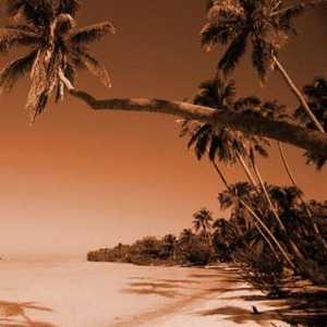 Goa Nord: Plaje în ritmul reggae