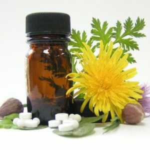 Preparate homeopatice - ce este? Cum să luați remedii homeopate?