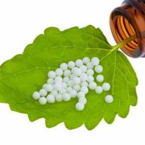 Homeopatia este ce? Remedii homeopatice de bază. Feedback despre homeopathy treatment