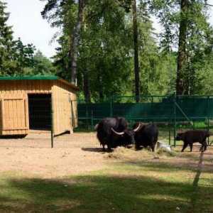 Zoo-ul orașului Kostroma și grădina de contact din Kostroma: care este diferența? Descriere,…
