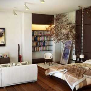 Camera de zi și dormitor într-o singură cameră: design interior, fotografie