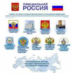 Organele de stat ale Federației Ruse: definiție, activitate și autoritate