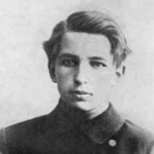 Figura de stat Andrei Bubnov: biografie, realizări și fapte interesante