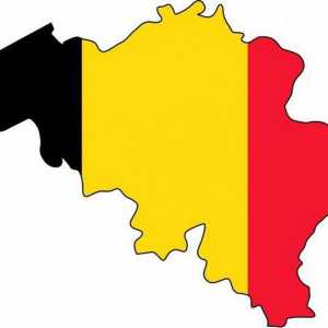 Statul Belgiei: formă de guvernare, descriere, descriere generală