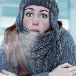Încălzitoare pentru încălțăminte `autoîncălzire`: comentarii, instrucțiuni