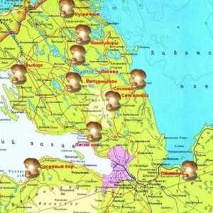 Locuri de ciuperci, regiunea Leningrad. Harta site-urilor de ciuperci