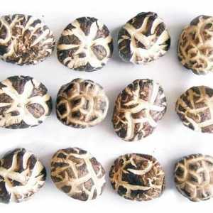 Ciuperci Shiitake. Beneficii și metode de pregătire
