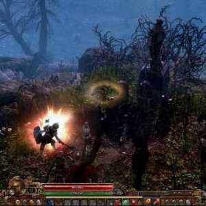 Grim Dawn: trecerea și revizuirea jocului