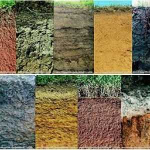 Sol: tipuri de soluri. Caracteristicile solurilor