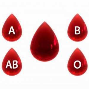 Grupuri de sânge: schema de transfuzie a sângelui, factorul Rh