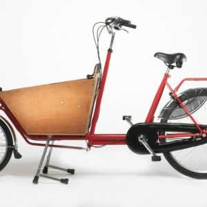 Biciclete de marfă: transport convenabil pentru întreprinderi mici și persoane fizice