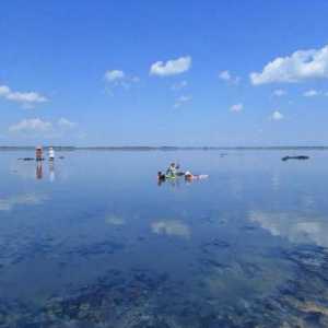 Guseletovo: lac de sare - locurile de vindecare din Teritoriul Altai
