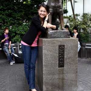 Hachiko: un monument din Tokyo. Monumente ale câinelui Hachiko din Japonia