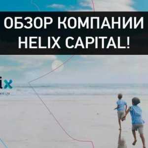 HELIX Capital Investments Ltd ("Helix Capital"): recenzii. Activități principale