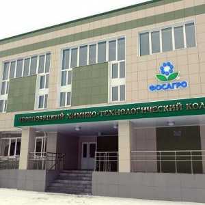 Colegiul chimico-tehnologic (Cherepovets): descriere