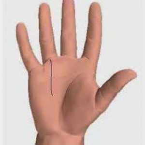 Palmismul: linia lui Apollo în palma mâinii tale