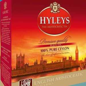 `Haylis` - ceai cu un gust bogat