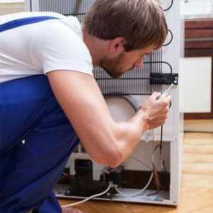 Frigiderul nu îngheață: motive, reparația frigiderelor la domiciliu
