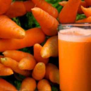 Semințe de morcov bun: opinia fermierilor de camioane