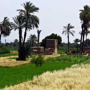 Utilizarea economică a râului Nil: ieri și astăzi