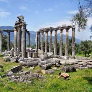 Templul lui Zeus din Olympia și metodele sale