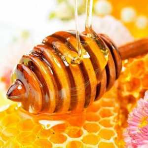 Depozitarea mierei la domiciliu: reguli de bază