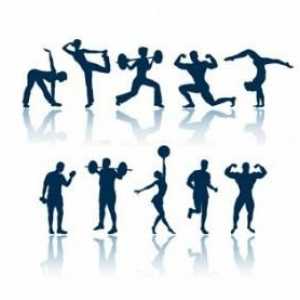 Du-te la sală de gimnastică: antrenament pentru pierderea în greutate