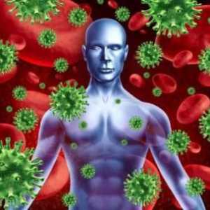 Preparate imunobiologice: lista, caracteristicile aplicației