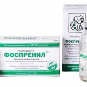 Medicament imunomodulator pentru animale "Fosprenil": instrucțiuni de utilizare