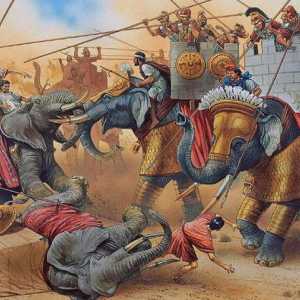 Elefanți de război indieni: descriere, istorie și fapte interesante