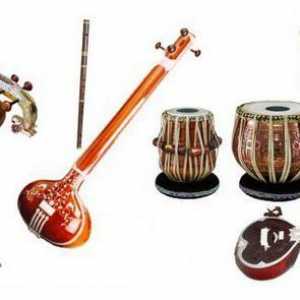 Instrumente muzicale indiene: Corzi, vânt, percuție