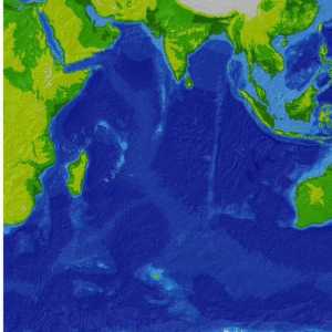 Oceanul Indian: adâncimea oceanului. Partea de jos a Oceanului Indian. Temperatura și relieful…
