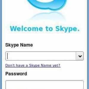 Instrucțiuni despre cum să introduceți "Skype" dacă ați uitat parola