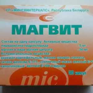 Instrucțiuni de utilizare "Magvita": o descriere a medicamentului, recenzii