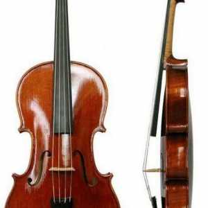 Instrument alto și istoria sa