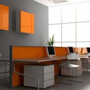 Interiorul biroului: idei de design