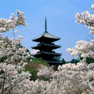 Fapte interesante despre Japonia. Japonia modernă. Munții din Japonia