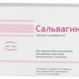 Gel antiseptic intravaginal `Salvagin`: instrucțiuni de utilizare