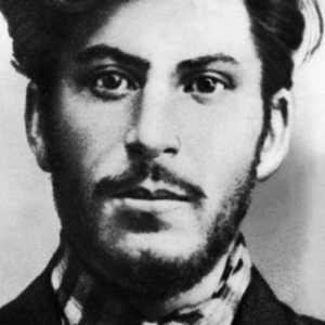 Joseph Stalin: biografie, familie, citate. Naționalitatea lui Stalin