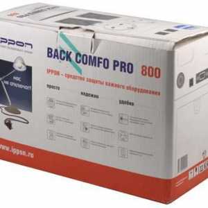 Ippon Back Comfo Pro 800: manual, comparativ cu concurenții și recenzii