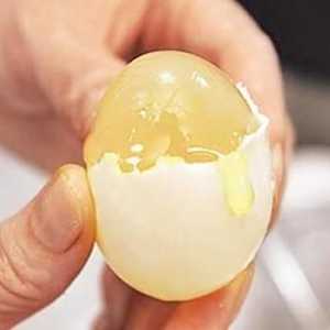 Ouă artificiale - este posibil?