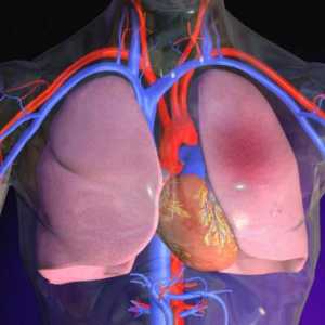 Masajul artificial al inimii și respirația artificială: tehnica, regulile și secvența