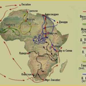 Cercetătorii din Africa și descoperirile lor