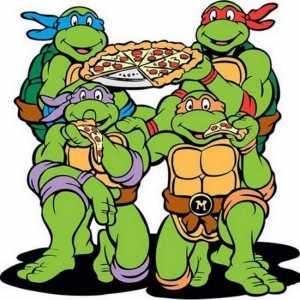 Istoria turtle-ninja. Caricaturi, jocuri, filme, desene animate și jucării turtle-ninja