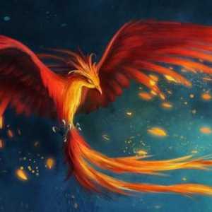 Istoria și obiectele din constelația Phoenix
