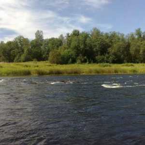 Studiem râurile din regiunea Leningrad: Narva, Luga, Dolgaya, Svir, Okhta