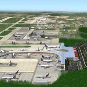 Studiul planului aeroportului Sheremetyevo - asistență pentru pasageri