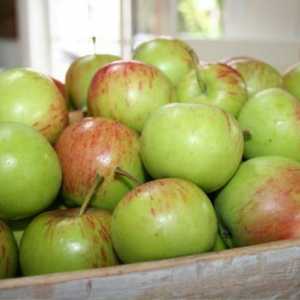 Arborele de mere Orlik: fructe magnifice cu aromă minunată