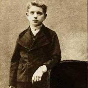 Jan Sibelius: biografie, lucrări. Câte simfonii a scris compozitorul?